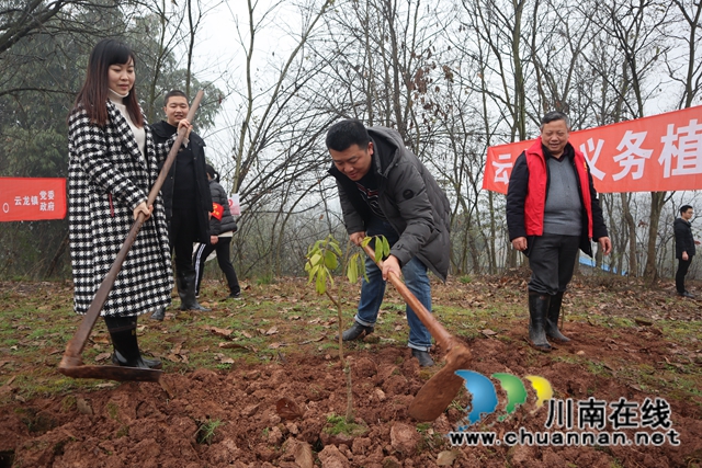 草长莺飞植树忙！泸县云龙镇开展2021年植树节活动(图1)