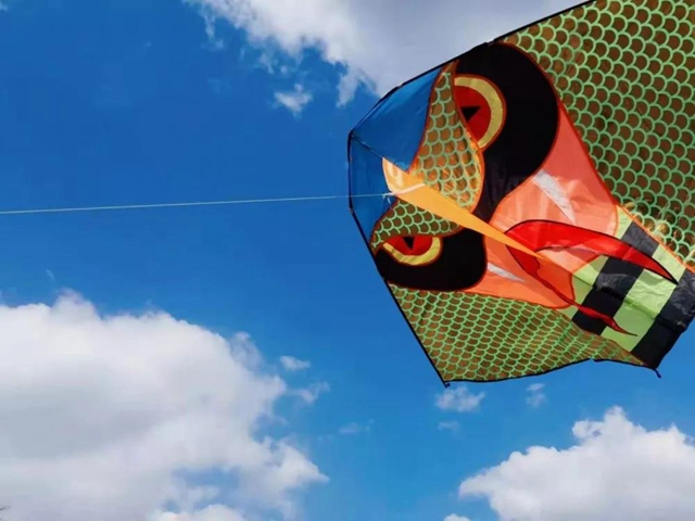 无边光景一时新！春到盐都——(图7)