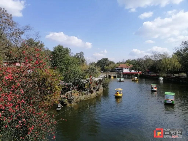 无边光景一时新！春到盐都——(图13)