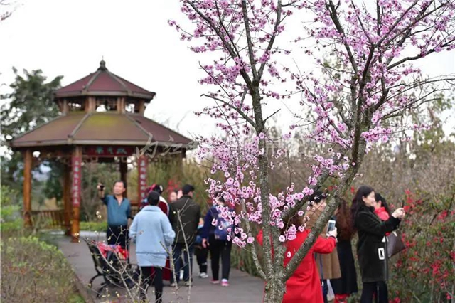 藏不住了！内江城区这两个湿地公园“藏”不住了(图3)
