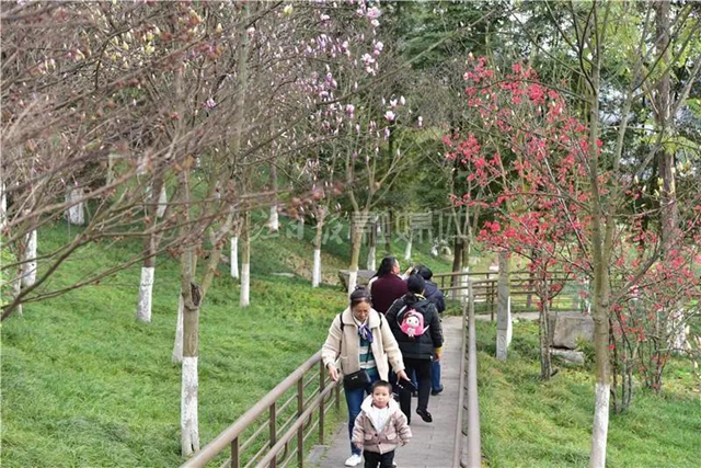 藏不住了！内江城区这两个湿地公园“藏”不住了(图5)