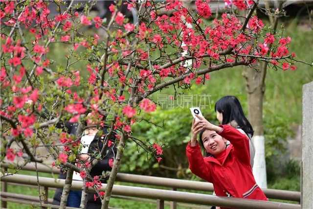 藏不住了！内江城区这两个湿地公园“藏”不住了(图7)