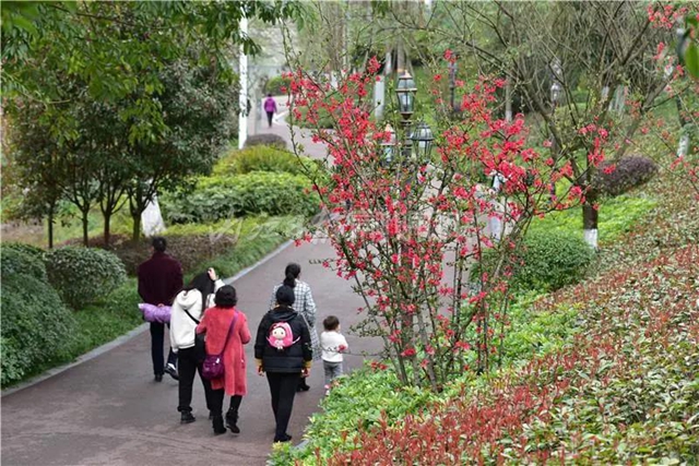 藏不住了！内江城区这两个湿地公园“藏”不住了(图9)