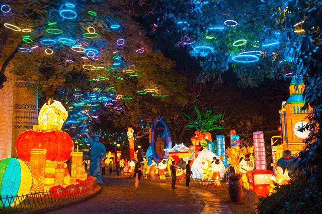 漂亮！自贡彩灯点亮青岛，还引来央视关注(图4)