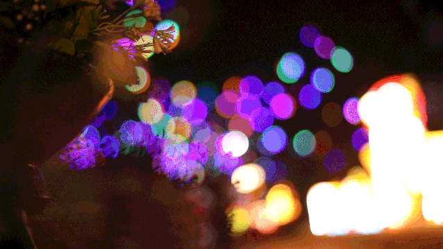 漂亮！自贡彩灯点亮青岛，还引来央视关注(图5)