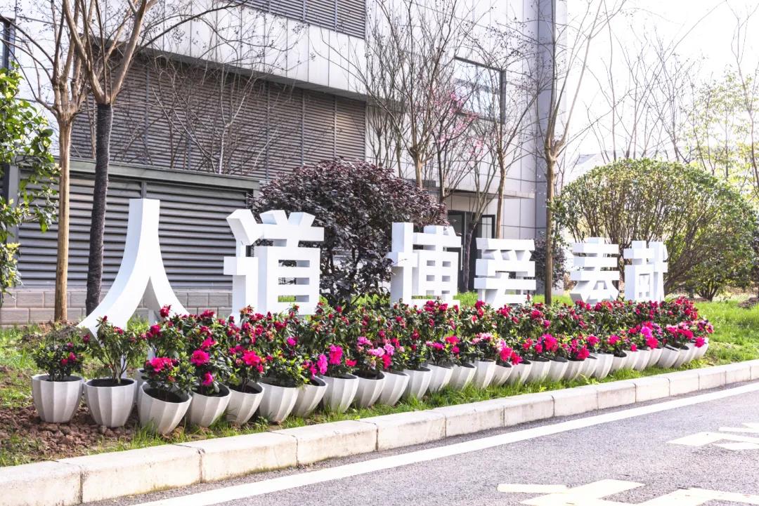 市人医，又美了！(图2)