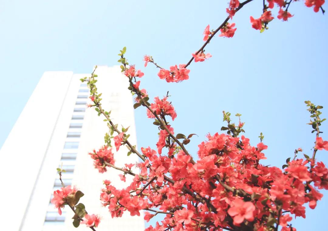 市人医，又美了！(图13)