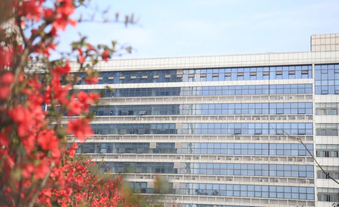 市人医，又美了！(图14)