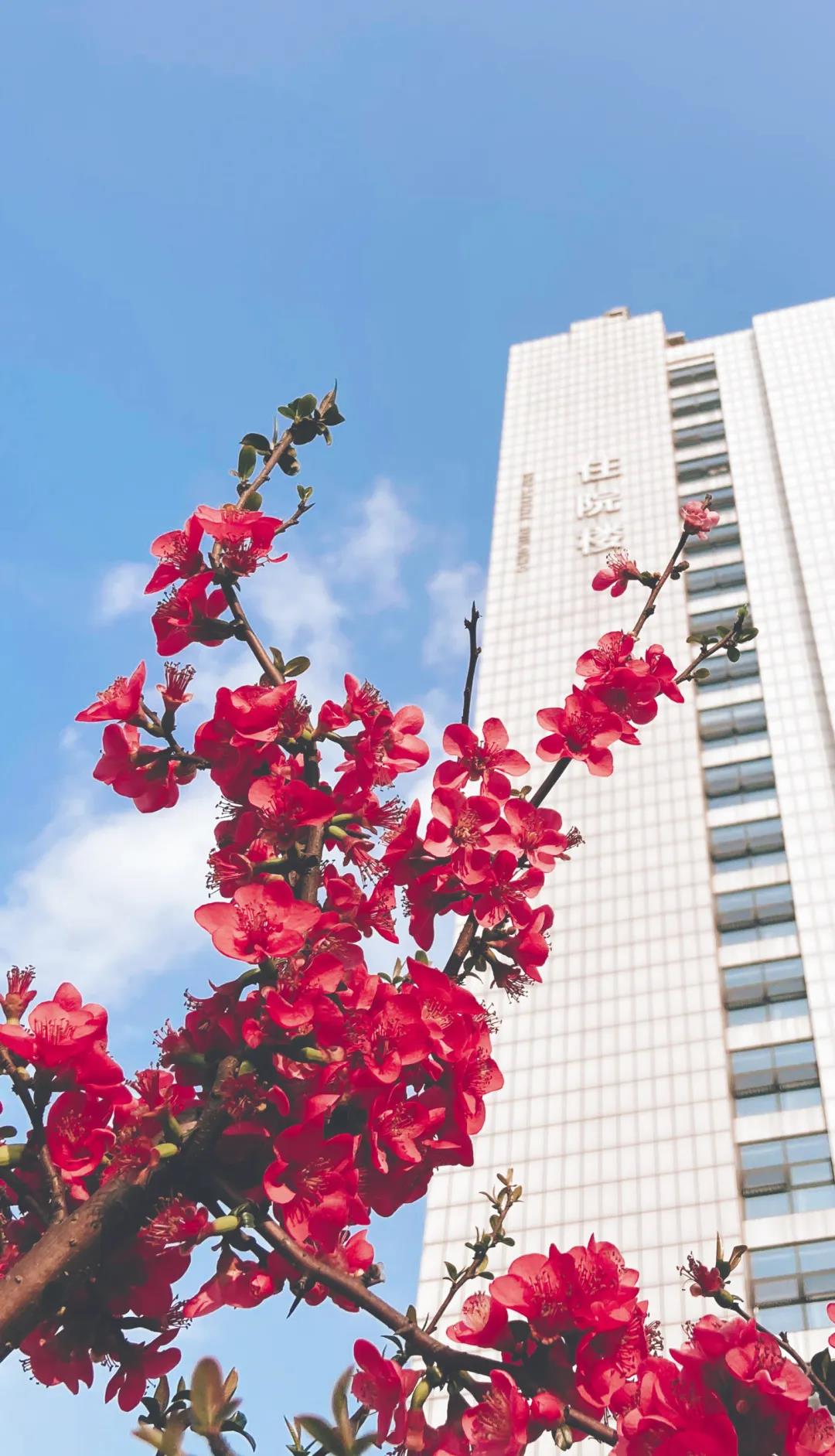 市人医，又美了！(图16)