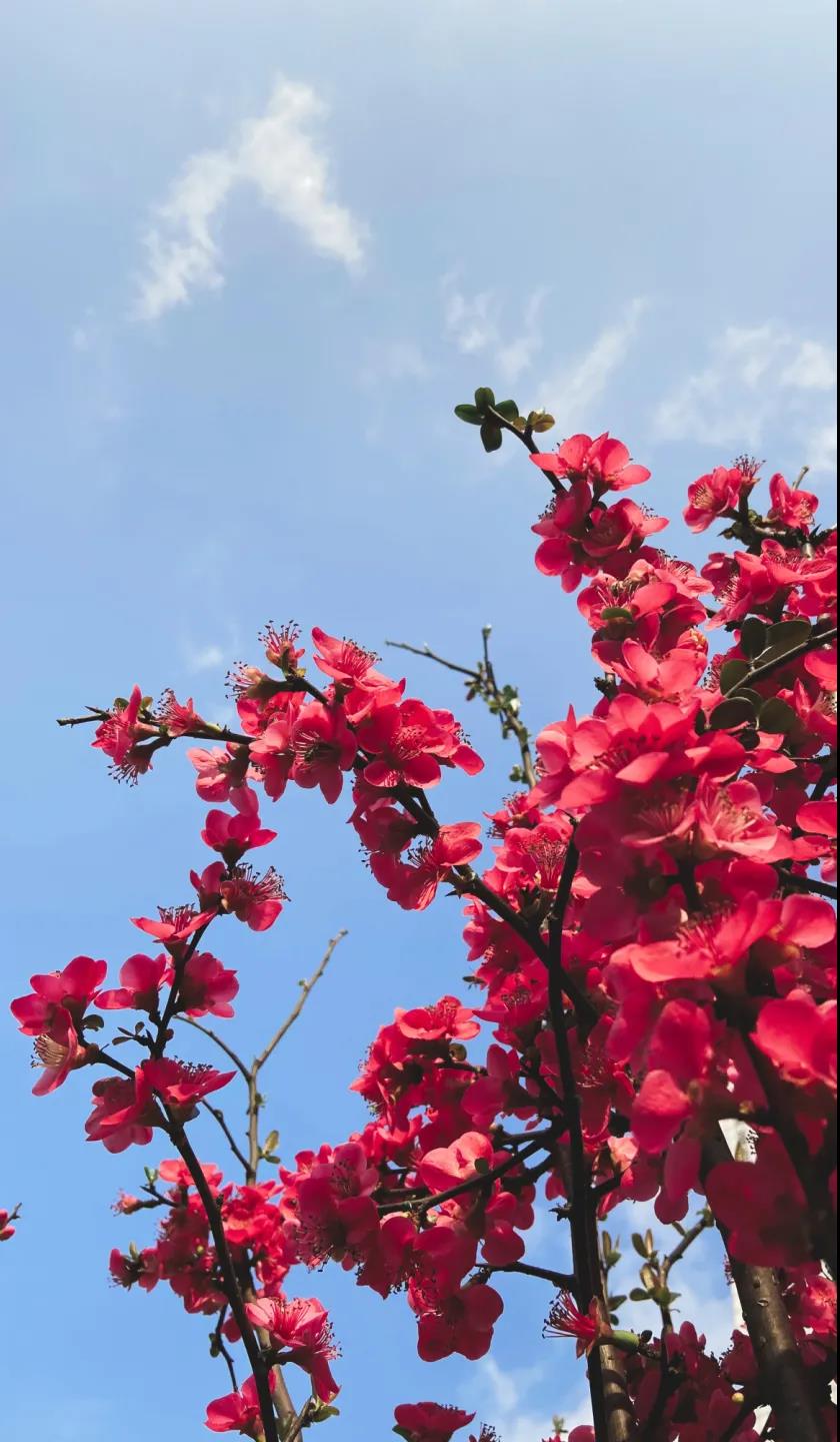 市人医，又美了！(图17)