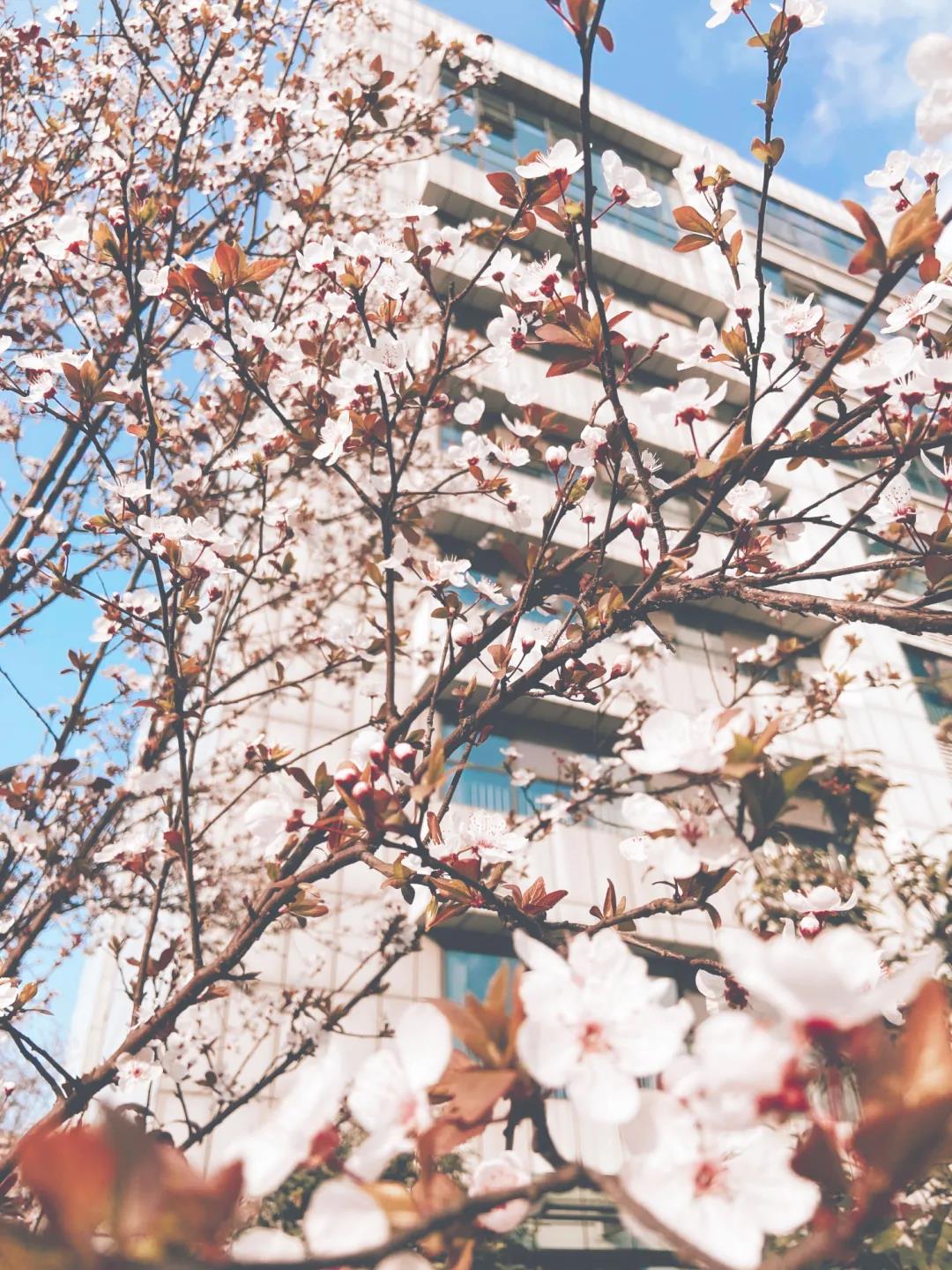 市人医，又美了！(图19)