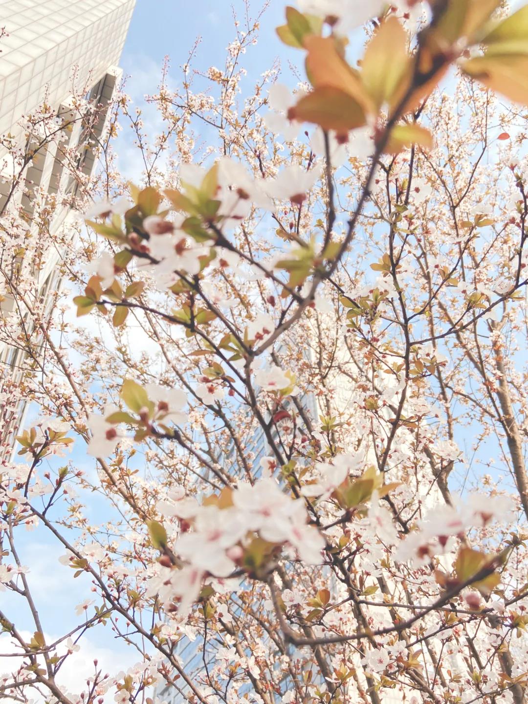 市人医，又美了！(图21)