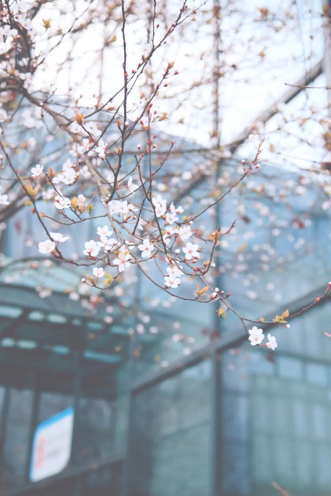 市人医，又美了！(图22)