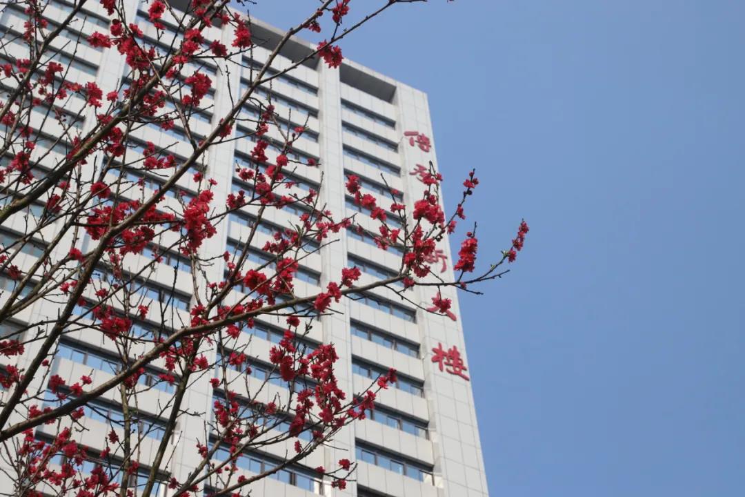 西南医大中医院人：新年新气象！撸起袖子加油干！(图2)