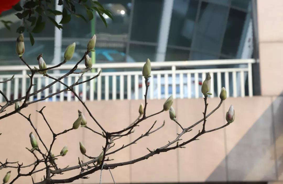 西南医大中医院人：新年新气象！撸起袖子加油干！(图3)