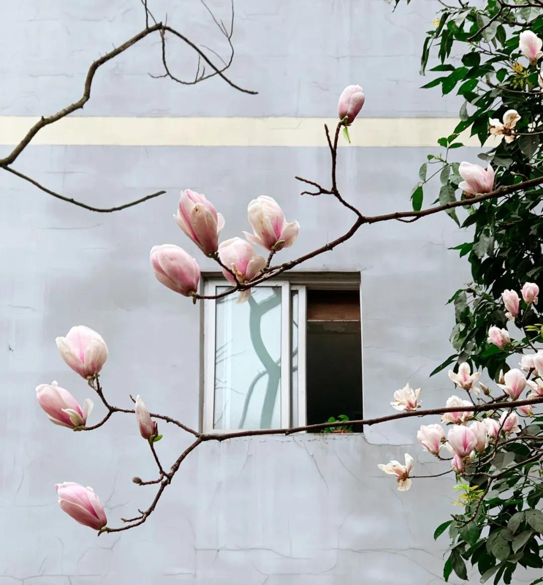 西南医大中医院人：新年新气象！撸起袖子加油干！(图4)