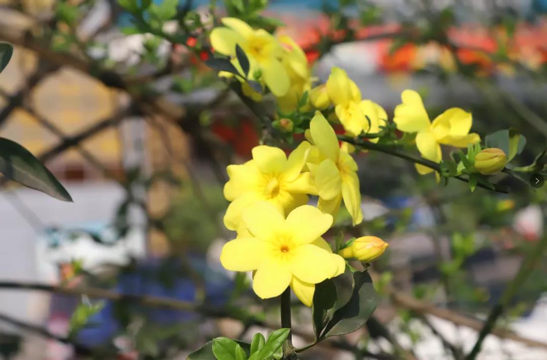 西南医大中医院人：新年新气象！撸起袖子加油干！(图5)