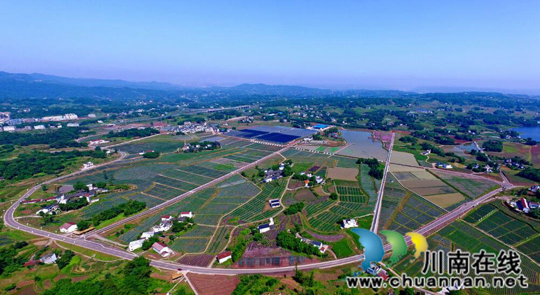  产业兴旺美如画(图1)