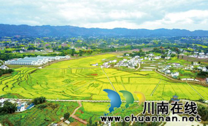  产业兴旺美如画(图3)