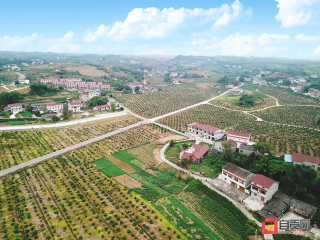 自贡这里被命名为先进乡镇！(图1)