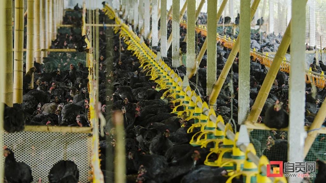 自贡这里被命名为先进乡镇！(图2)