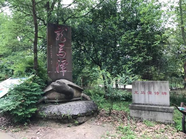 龙马潭公园即将全新打造，预计年底重新开放(图2)