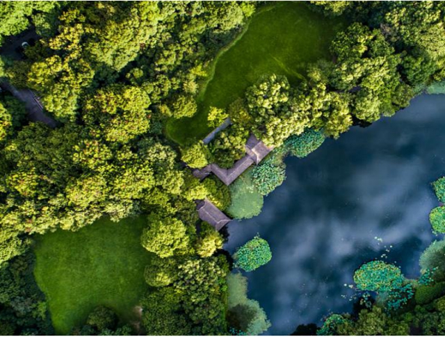 龙马潭公园即将全新打造，预计年底重新开放(图9)