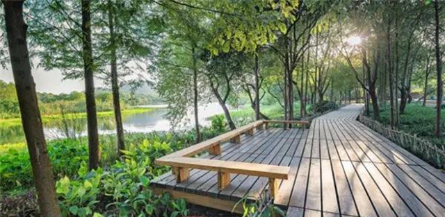 龙马潭公园即将全新打造，预计年底重新开放(图11)