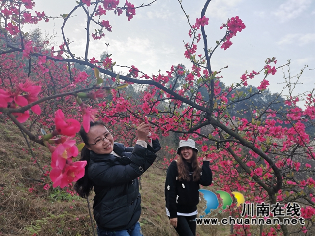 泸县：徒步踏青赏花，健身中感受春天的美(图4)