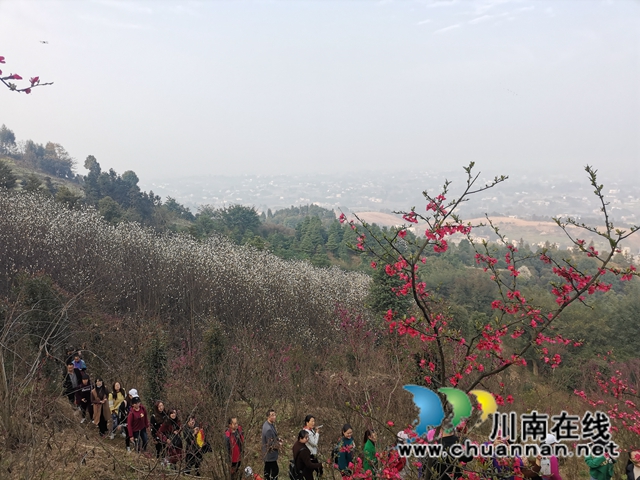 泸县：徒步踏青赏花，健身中感受春天的美(图6)