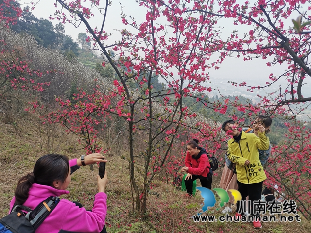 泸县：徒步踏青赏花，健身中感受春天的美(图5)