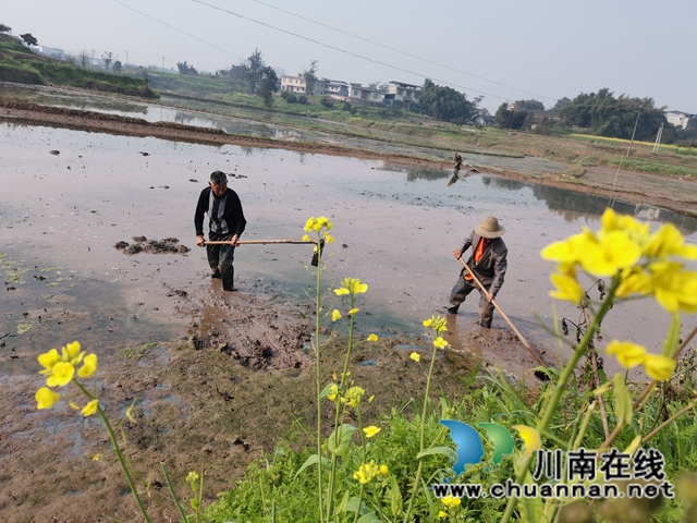 泸县检修提灌设施保证春耕用水(图2)