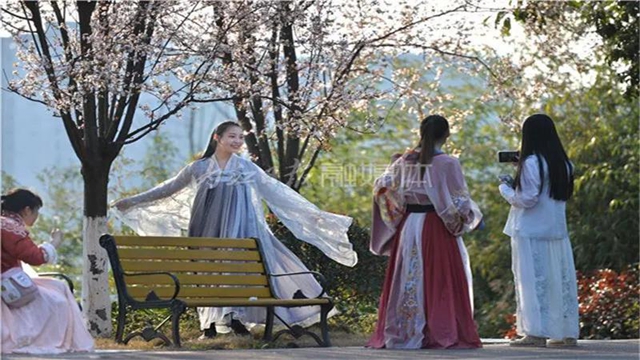 告市民：踏青赏花何必远行，内江城区这里满山斗艳争奇(图11)