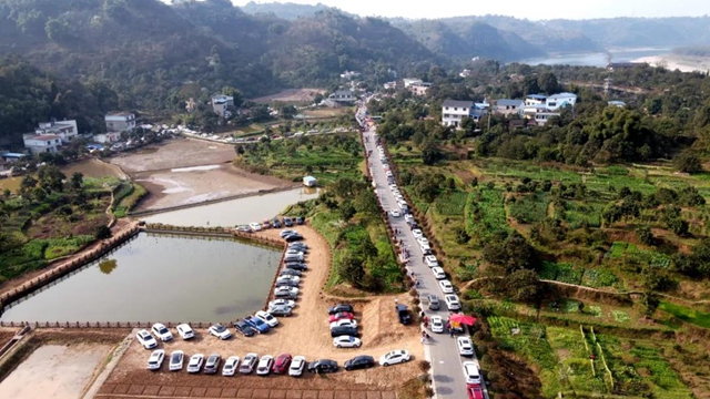 约！龙马潭的这些春游打卡地美不胜收(图2)