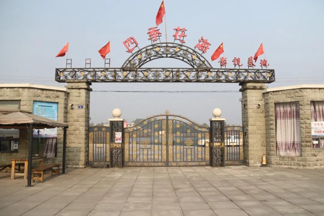 约！龙马潭的这些春游打卡地美不胜收(图5)