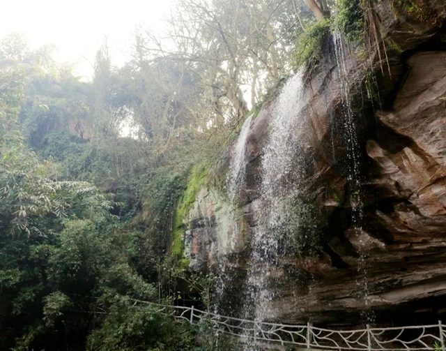 约！龙马潭的这些春游打卡地美不胜收(图9)