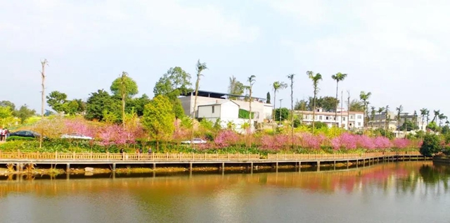 约！龙马潭的这些春游打卡地美不胜收(图12)