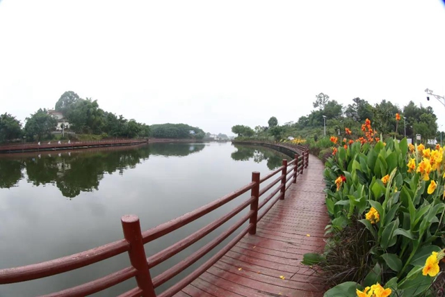 约！龙马潭的这些春游打卡地美不胜收(图11)