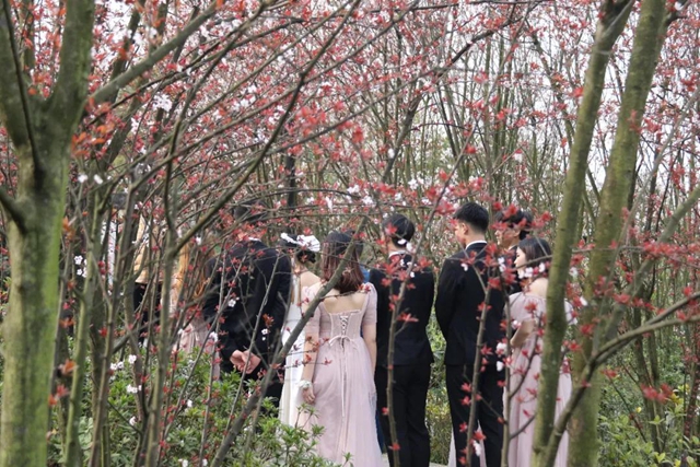 约！龙马潭的这些春游打卡地美不胜收(图18)