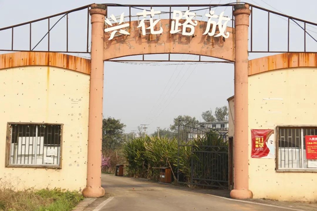 约！龙马潭的这些春游打卡地美不胜收(图14)