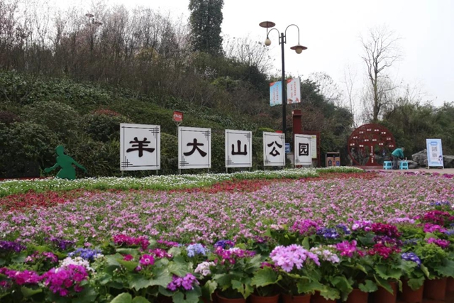 约！龙马潭的这些春游打卡地美不胜收(图17)