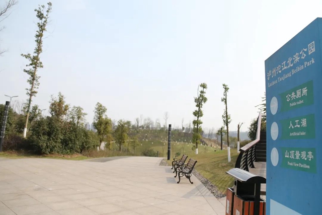 约！龙马潭的这些春游打卡地美不胜收(图20)