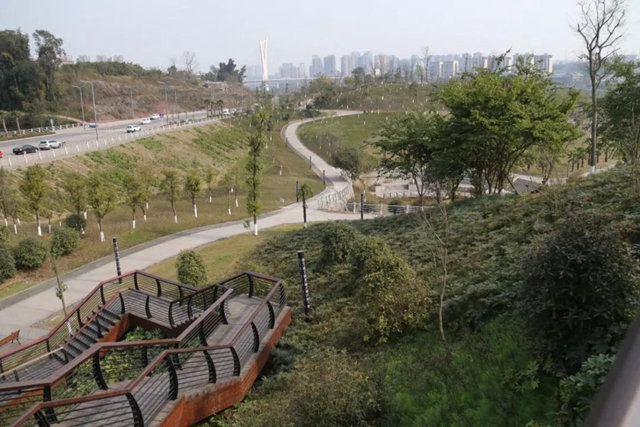 约！龙马潭的这些春游打卡地美不胜收(图21)