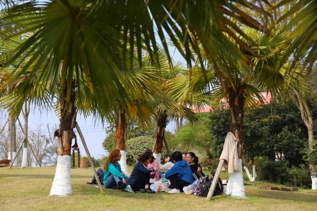 约！龙马潭的这些春游打卡地美不胜收(图26)