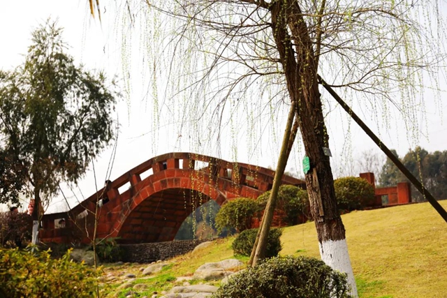 约！龙马潭的这些春游打卡地美不胜收(图27)