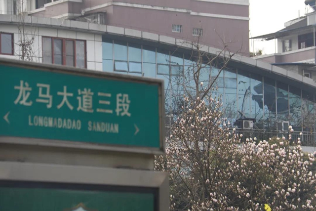 约！龙马潭的这些春游打卡地美不胜收(图28)