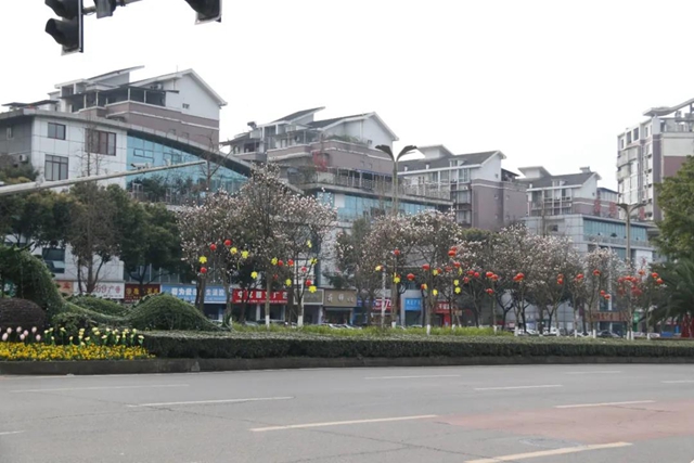 约！龙马潭的这些春游打卡地美不胜收(图29)