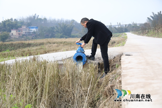 龙马潭区：灌溉网络送水到田，高效灌溉助力春耕(图6)