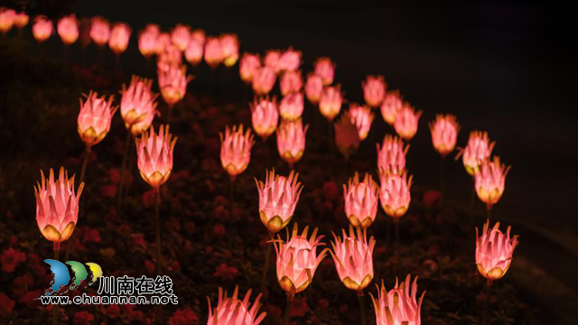 营造浓厚春节氛围，打造温暖幸福龙马！(图4)