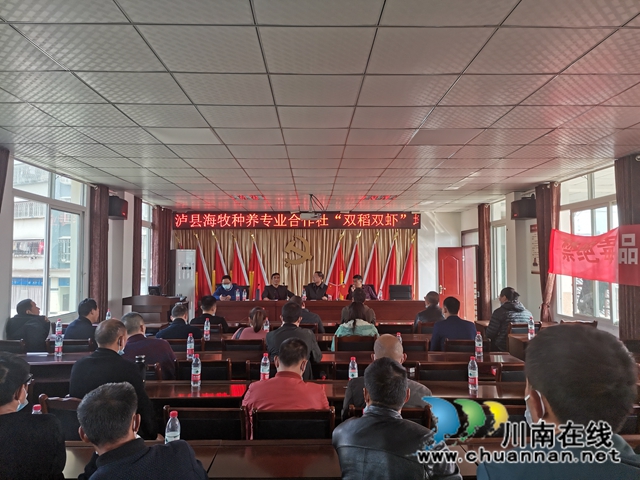 稻虾共生，错峰上市，泸县推广双稻双虾打造鱼米之乡(图7)